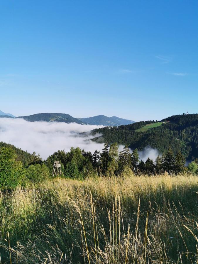 Villa Richterberg With Sauna & Hot Tub Slovenj Gradec Exterior foto