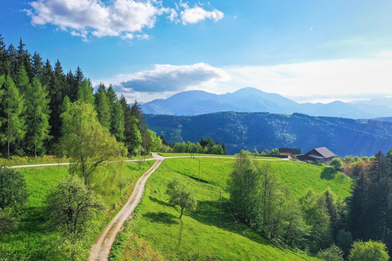 Villa Richterberg With Sauna & Hot Tub Slovenj Gradec Exterior foto