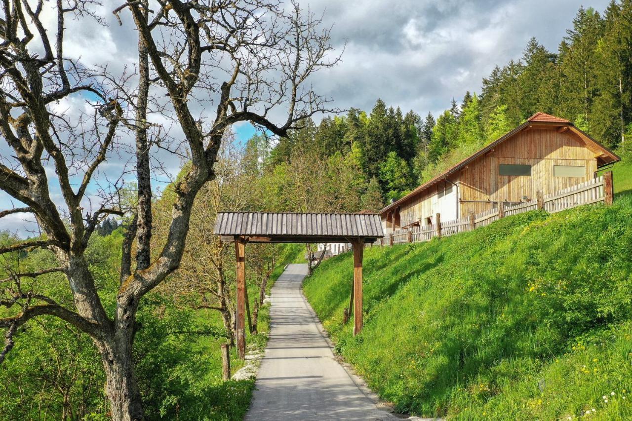 Villa Richterberg With Sauna & Hot Tub Slovenj Gradec Exterior foto